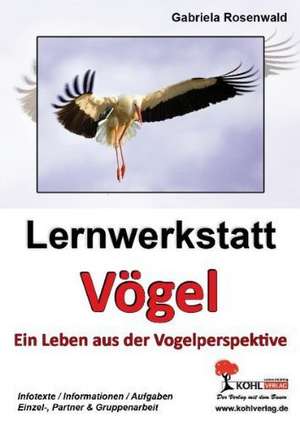 Lernwerkstatt Vögel Ein Leben aus der Vogelperspektive de Gabriela Rosenwald