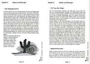 Der Regenstab / Das Begleitbuch