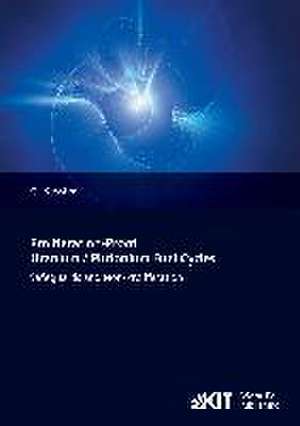 Proliferation-Proof Uranium/Plutonium Fuel Cycles: Safeguards and Non-Proliferation de Günther Kessler