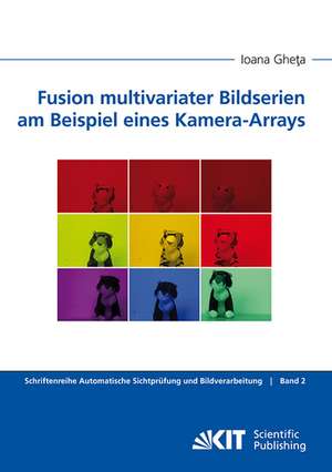 Fusion multivariater Bildserien am Beispiel eines Kamera-Arrays de Ioana Gheta