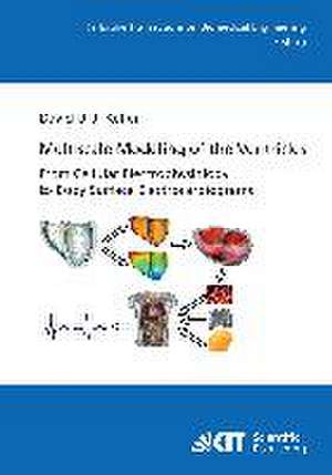 Multiscale Modeling of the Ventricles: From Cellular Electrophysiology to Body Surface Electrocardiograms de David Urs Josef Keller