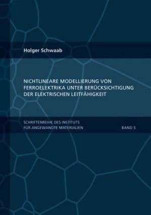 Nichtlineare Modellierung von Ferroelektrika unter Berücksichtigung der elektrischen Leitfähigkeit de Holger Schwaab