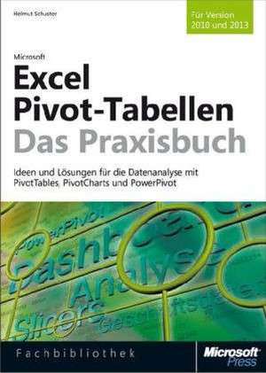 Microsoft Excel 2013 Pivot-Tabellen - Das Praxisbuch de Helmut Schuster