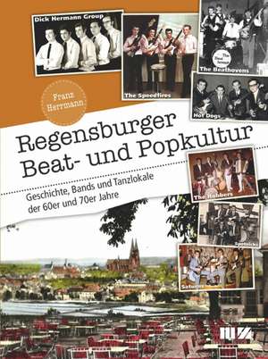 Regensburger Beat- und Popkultur de Franz Herrmann