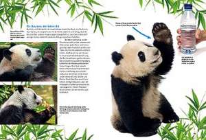 Entdecke die Pandas de Eveline Dungl