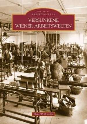 Versunkene Wiener Arbeitswelten de Hans Werner Bousska