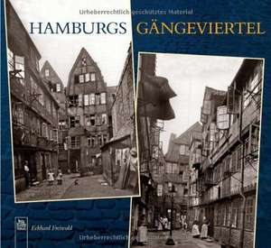 Hamburgs Gängeviertel de Eckhard Freiwald