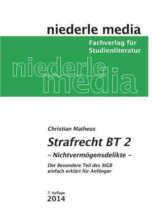 Strafrecht BT 2 de Christian Matheus