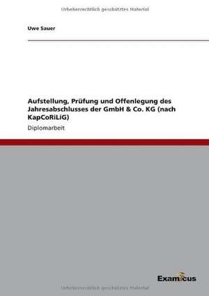 Aufstellung, Prüfung und Offenlegung des Jahresabschlusses der GmbH & Co. KG (nach KapCoRiLiG) de Uwe Sauer