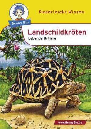 Eckstein, S: Landschildkröten