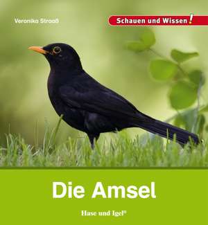 Die Amsel de Veronika Straaß