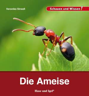 Die Ameise de Veronika Straaß