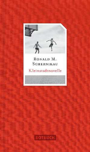 Kleinstadtnovelle de Ronald M. Schernikau