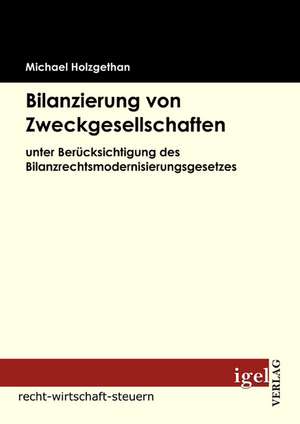 Bilanzierung Von Zweckgesellschaften: Physical Illnesses for Dogs, Cats, Small Animals & Horses de Michael Holzgethan