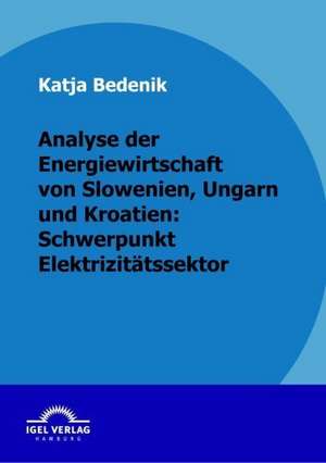 Analyse Der Energiewirtschaft Von Slowenien, Ungarn Und Kroatien: Schwerpunkt Elektrizit Tssektor de Katja Bedenik