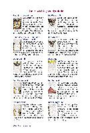 Tarot Basics Waite de Johannes Fiebig