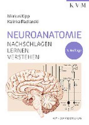 Neuroanatomie de Markus Kipp