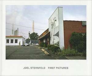 First Pictures de Joel Sternfeld