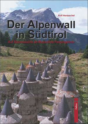 Hentzschel, R: Alpenwall in Südtirol