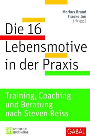 Die 16 Lebensmotive in der Praxis de Markus Brand