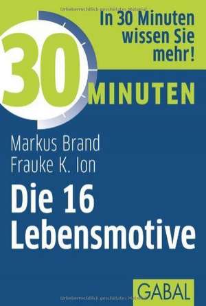 30 Minuten Die 16 Lebensmotive de Frauke K. Ion