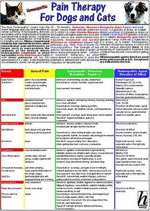 Homeopathic Pain Therapy for Dogs and Cats