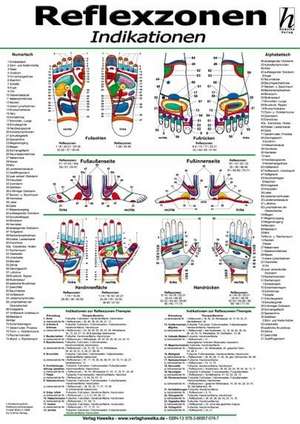 Reflexzonen-Therapie Poster - Indikationen DIN A2