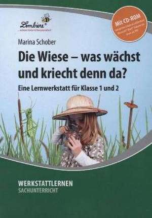 Die Wiese - was wächst und kriecht denn da? de Marina Schober