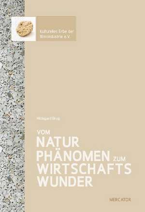 Die Geschichte der Bims-Industrie de Hildegard Brog