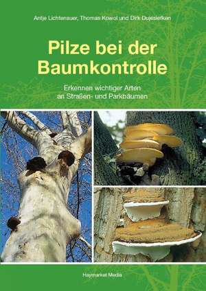 Pilze bei der Baumkontrolle de Antje Lichtenauer