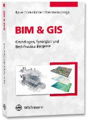 BIM & GIS de Josef Kauer