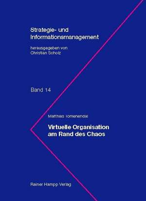 Virtuelle Organisation am Rand des Chaos de Matthias Tomenendal