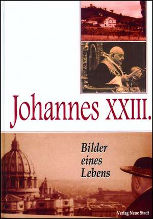 Johannes XXIII de Elio Guerriero