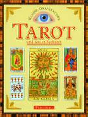 Tarot und was er bedeutet de David V. Barrett