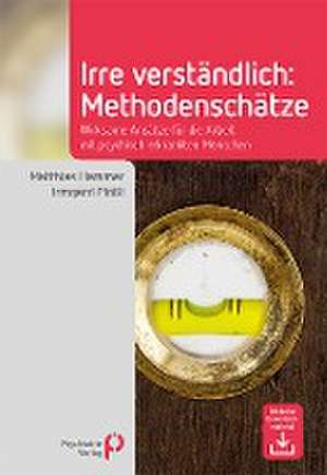 Irre Verständlich: Methodenschätze de Matthias Hammer