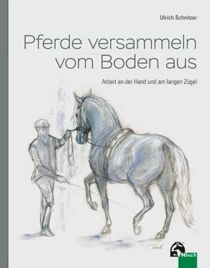 Pferde versammeln vom Boden aus de Ulrich Schnitzer