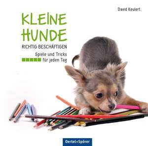 Kleine Hunde richtig beschäftigen de David Keulert