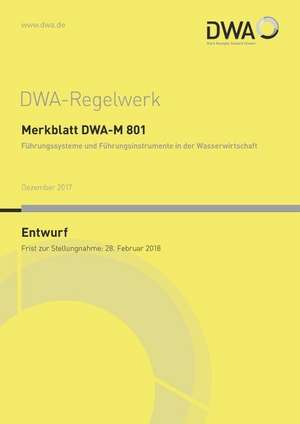 DWA-M 801 Führungssysteme und Führungsinstrumente in der Wasserwirtschaft (Entwurf)