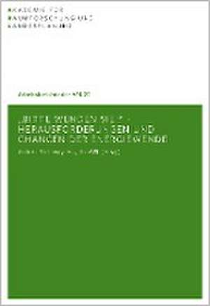 Bitte wenden sie! - Herausforderungen und Chancen der Energiewende de Andreas Stefansky