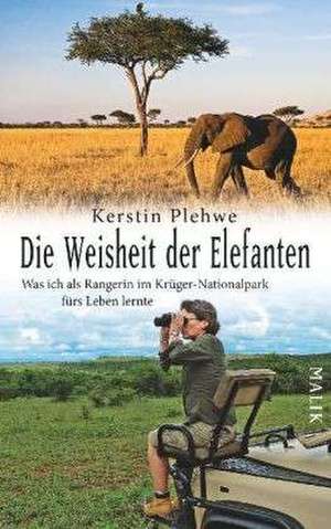 Die Weisheit der Elefanten de Kerstin Plehwe