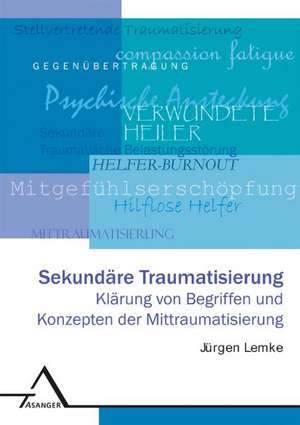 Sekundäre Traumatisierung de Jürgen Lemke