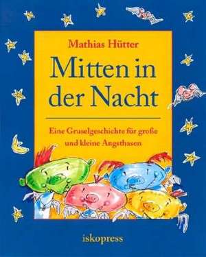 Mitten in der Nacht de Mathias Hütter