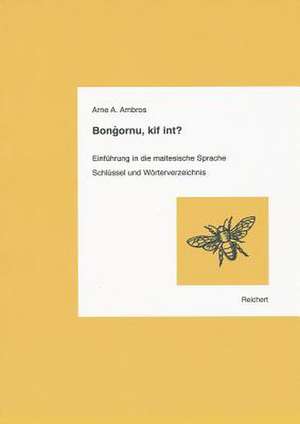 Bongornu, Kif Int? de Arne A. Ambros