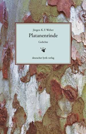 Platanenrinde de Jürgen Weber