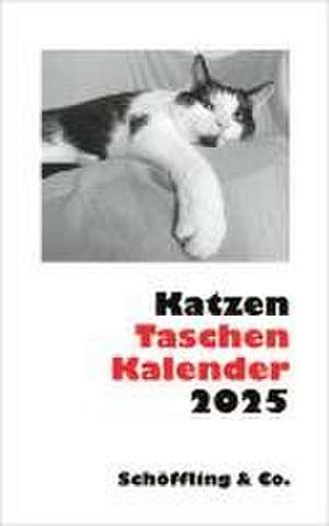 Katzen Taschenkalender 2025 de Julia Bachstein