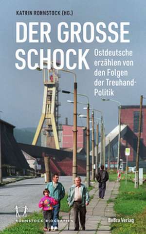 Der große Schock de Katrin Rohnstock