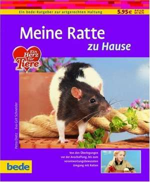 Meine Ratte zu Hause de Petra Dietz