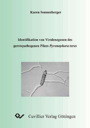 Identifikation von Virulenzgenen des gerstepathogenen Pilzen Pyrenophora teres de Karen Sonnenberger