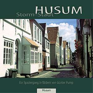 Storm-Stadt Husum de Theodor Storm