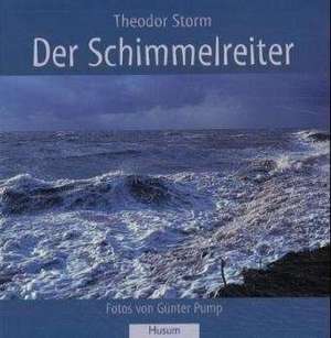 Der Schimmelreiter de Theodor Storm